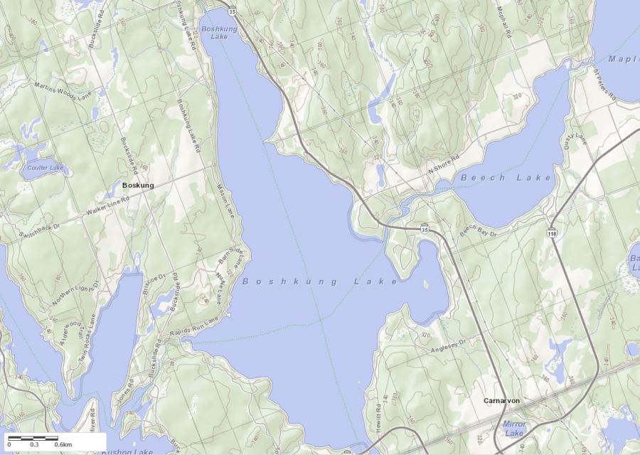 Topographical Map of Boshkung Lake in Municipality of Algonquin Highlands and the District of Haliburton